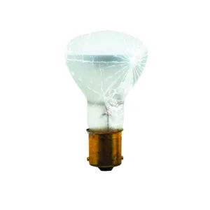 Bulbrite 752531 Incandescent R12