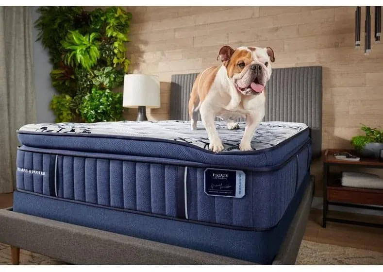 Stearns & Foster Mon Cheri 15" Thick Luxury Cushion Firm Pillow Top Mattress for Side & Back Sleepers